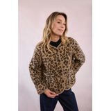 Molly BRACKEN Tussenjas  cognac / mokka / zwart