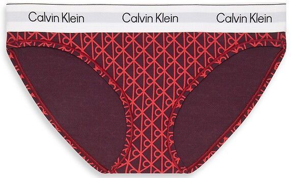 Calvin Klein Underwear - ICON COTTON MODAL - Slip - Rood