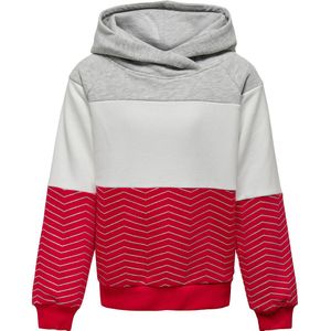 Driekleurige hoodie in molton KIDS ONLY. Geruwd molton materiaal. Maten 12 jaar - 150 cm. Grijs kleur