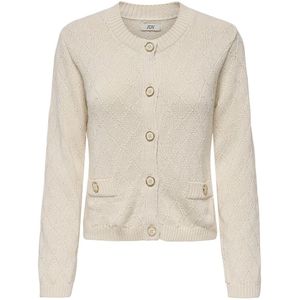 JDY - JDYJOLLY - Gebreid Vest - Effen - Lange Mouw - Normale Pasvorm