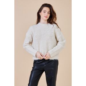 SEE U SOON - Trui - Beige - Lange Mouwen - Ronde Hals - Polyester