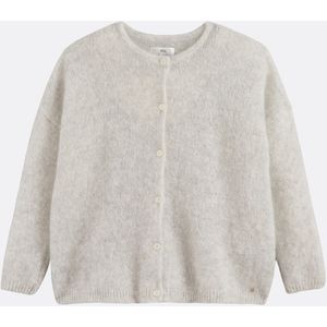 BEA DES PETITS HAUTS - Cardigan - Mêleegrijs - Lange Mouwen - Ronde Hals