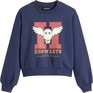 Sweater Harry Potter in molton HARRY POTTER. Molton materiaal. Maten 4 jaar - 102 cm. Blauw kleur