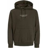 Jack & Jones - Archie - Hoodie - Katoen - Biologisch - Regular Fit