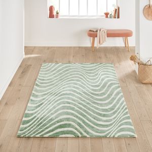 Vloerkleed 100% Lyocell, Lizzie LA REDOUTE INTERIEURS. Lyocell materiaal. Maten 200 x 290 cm. Groen kleur