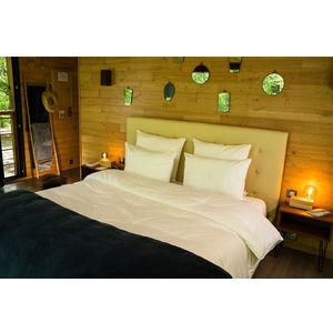 LESTRA - Quallofil Allerban - Synthetisch Dekbed - Wit - 450g/m²