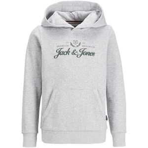 Gemoltonneerde hoodie JACK & JONES JUNIOR. Geruwd molton materiaal. Maten 10 jaar - 138 cm. Grijs kleur