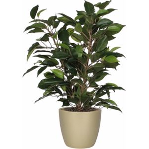 Groene ficus kunstplant 40 cm met plantenpot parelgoud D13.5 en H12.5 cm