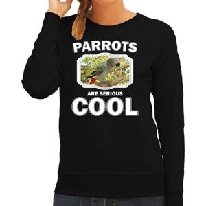 Sweater parrots are serious cool zwart dames - papegaaien/ grijze roodstaart papegaai trui