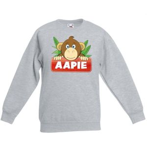 Apen dieren sweater grijs voor kinderen