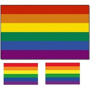 Vlag met regenboog print en twee gratis stickers