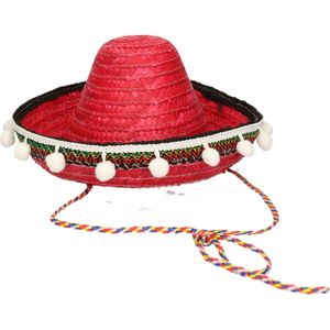 Mexicaanse Sombrero hoed voor kinderen 25 cm