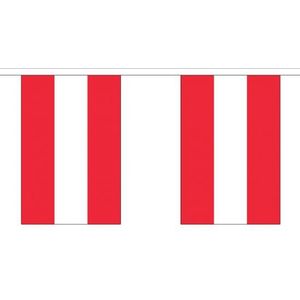 Stoffen vlaggenlijn Oostenrijk 3 meter