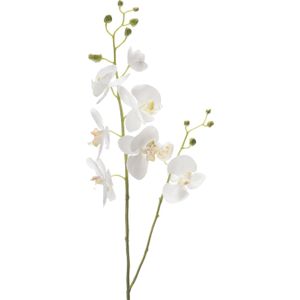 Emerald Kunstbloem Orchidee - 95 cm - wit - losse tak - kunst zijdebloem - Phalaenopsis
