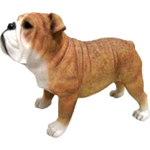 Polystone tuinbeeld Engelse bulldog hondje 9 cm