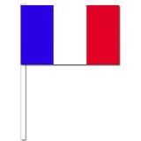 Zwaaivlaggetjes Frankrijk 50 stuks