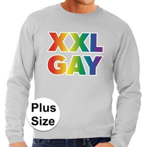 Pride XXL Gay regenboog sweater grijs heren