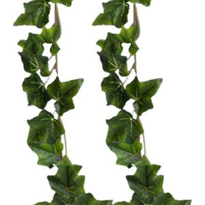 Chaks Klimop kunstplant slinger - 2x - 180 cm - groen