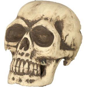 Halloween decoratie schedel 32 cm