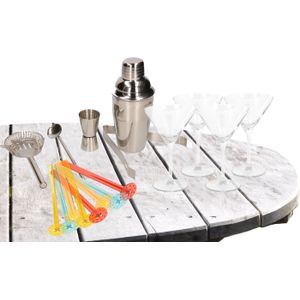 Cocktails maken set - 5-delige cocktailshaker set met 4x luxe cocktailglazen/Martiniglazen 260 ml