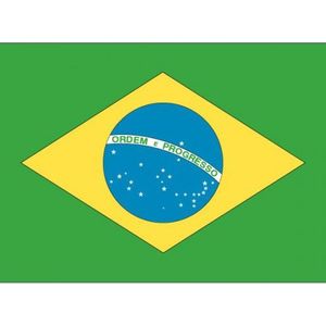 10x Stickertjes Brazilie vlag 10 cm
