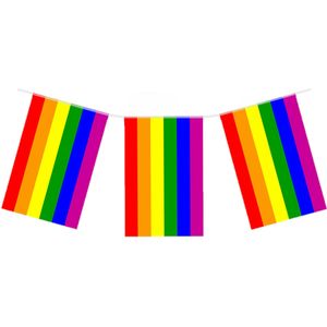 Regenboog vlaggenlijn/vlaggetjes van 7 meter