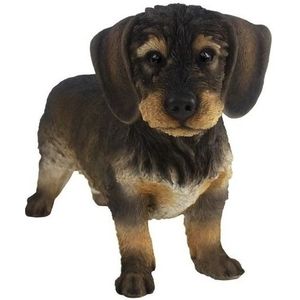 decaan Lionel Green Street salon Honden beelden - online kopen | Lage prijs | beslist.nl