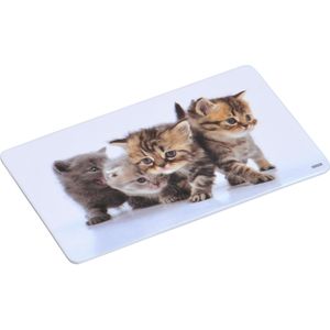 4x Rechthoekige kunststof bordjes/plankjes met kitten print voor kinderen