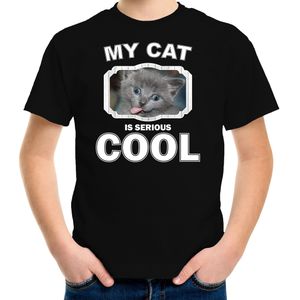 Katten liefhebber shirt grijze kat my cat is serious cool zwart voor kinderen