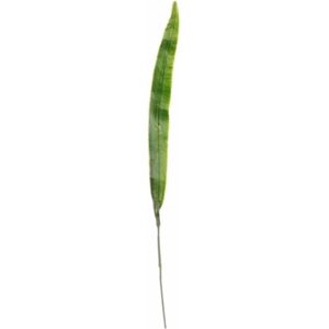 Kunstplant tak Gladioolblad groen - 40cm - voor in een boeket