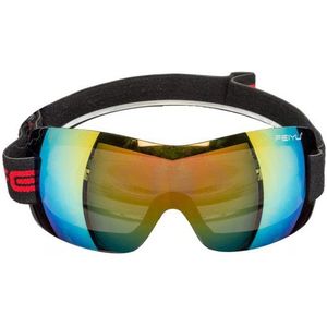 Apres ski bril voor volwassenen (cadeaus & gadgets) € 15 bij Fun-en-feest.nl | beslist.nl