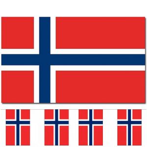 Bellatio Decorations - Vlaggen versiering set - Noorwegen - Vlag 90 x 150 cm en vlaggenlijn 9 meter