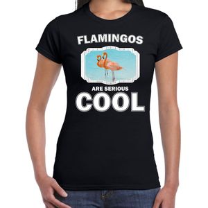 T-shirt flamingos are serious cool zwart dames - flamingo vogels/ flamingo shirt