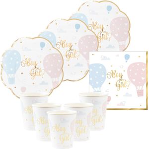 Givi Italia Feestbordjes/servies set - 16-delig - gender reveal  - blauw roze - rond - papier/karton