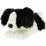 Keel Toys Knuffeldier Puppy Border Collie hond - zachte pluche stof - premium knuffels - 35 cm