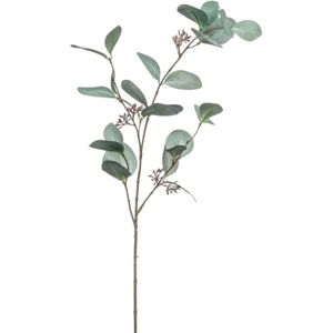 Emerald Kunstbloem Eucalyptus tak - 73 cm - groen
