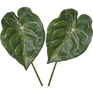 2x Groene Anthurium tak 67 cm