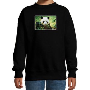 Dieren sweater met pandaberen foto zwart voor kinderen - panda cadeau trui