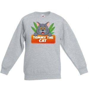Katten dieren sweater grijs voor kinderen