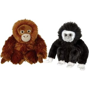 Apen serie zachte pluche knuffels 2x stuks - Orang Utan en Gibbon Aapje van 18 cm