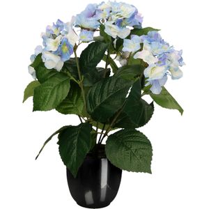 Hortensia kunstplant/kunstbloemen 40 cm - blauw - in pot zwart glans - Kunst kamerplant