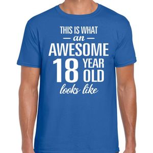 Awesome 18 year / verjaardag cadeau t-shirt blauw voor heren
