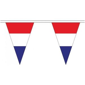Lange Nederland vlaggenlijnen van 5 meter