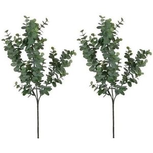 2x Eucalyptus kunstbloemen takken 65 cm decoratie