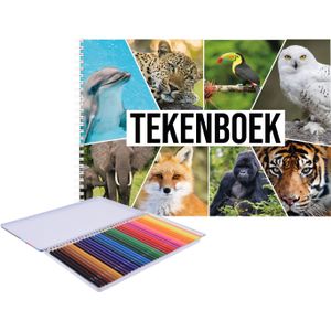 A4 wilde dieren schetsboek/ tekenboek/ kleurboek/ schetsblok wit papier met 36x kleurpotloden