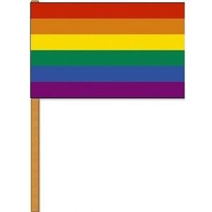 1x Regenboog zwaaivlaggetje/handvlaggetje 30 x 45 cm met houten stok