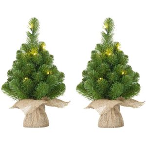 Accommodatie hoogte hun Kleine Kerstboom kopen? Mini Kerstbomen online | beslist.be