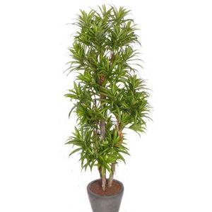 Groene dracaena reflexa kunstplant 120 cm voor binnen - kunstplanten/nepplanten/binnenplanten