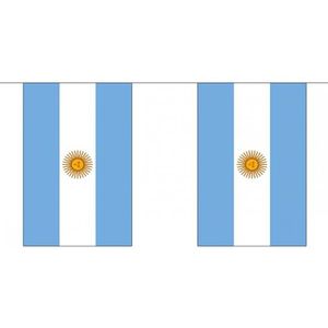Stoffen vlaggenlijn Argentinie 3 meter