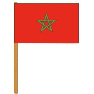 Marokkaanse zwaaivlaggetjes 30 x 45 cm